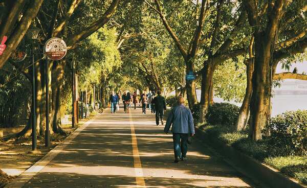 Tree-lined path in a city park with people walking