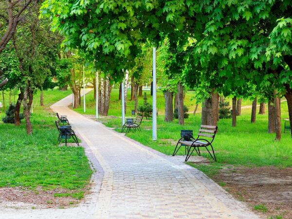 Green park with a walkway and benches